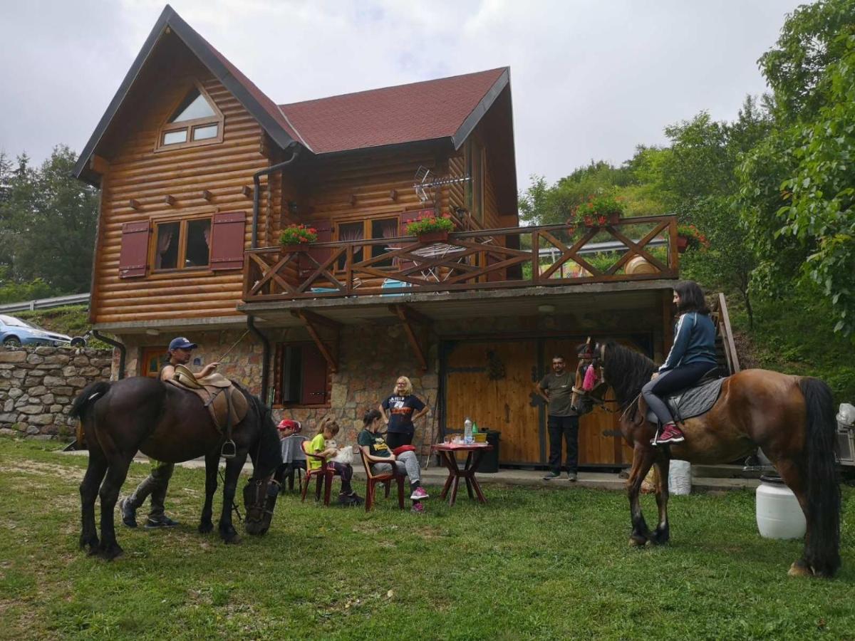 Vila Jelena Crni Vrh Exterior foto