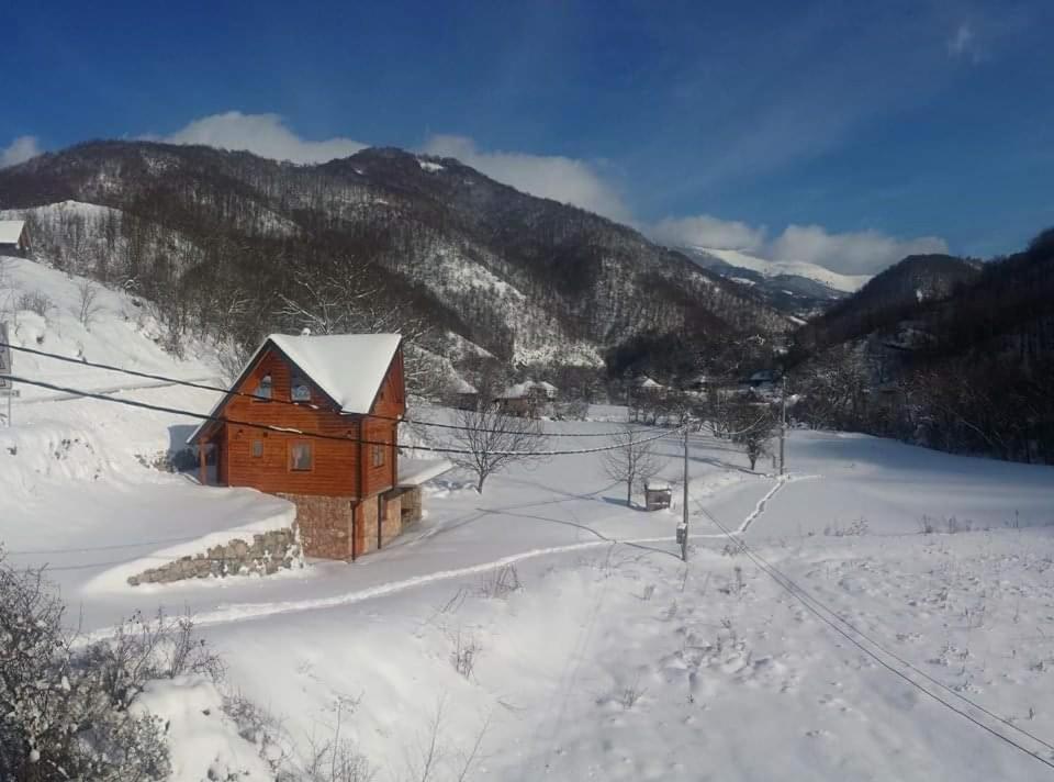 Vila Jelena Crni Vrh Exterior foto